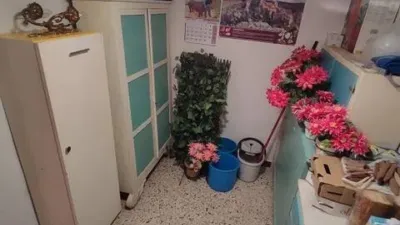 Rustic house in Castillejo de Robledo photo 54