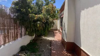 Chalet in Chiclana de la Frontera photo 27