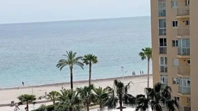Apartment on Carrer de Llevant photo 5