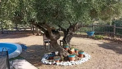 Casa rústica en La Puebla de los Infantes photo 23