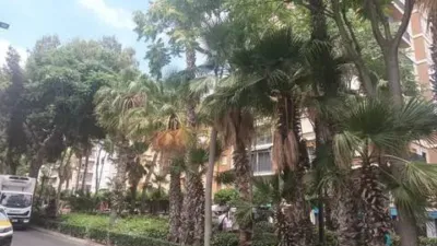 Apartment in Avinguda al Vedat Area photo 28