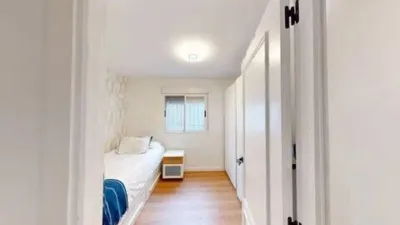 Apartment on Alcalde Felipe Mallol photo 19