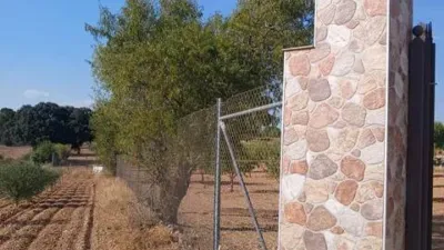 Chalet on Sector El Bano Street, Poligono 2 Plot 115 No Number photo 18
