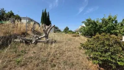 Chalet en Vallirana photo 50