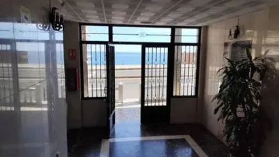 Apartment in L'Albufereta photo 14