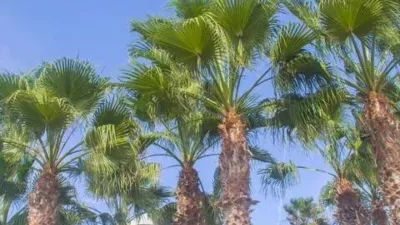 Chalet en venta en Calle Sabina, La Oliva de 355.000 €