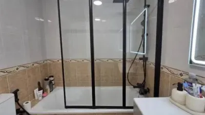 Apartment on Alcalde Felipe Mallol photo 7