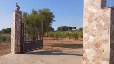 Chalet on Sector El Bano Street, Poligono 2 Plot 115 No Number photo 16
