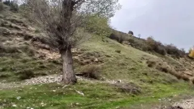 Rustic house in Santiago de La Espada photo 16