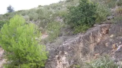 Terreno en venta en Carrer Amapolas - Vista 3