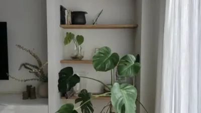 Apartment in Seville City Centre photo 7