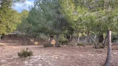 Rustic house in El Esparragal photo 4