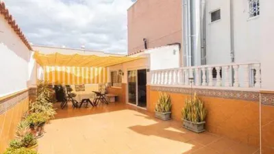 Pis – Elx - Elche - Vista 3