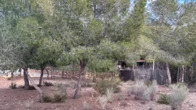 Rustic house in El Esparragal photo 5