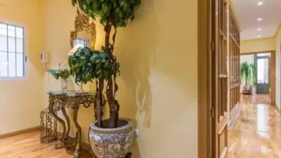 Apartment in La Catedral photo 15