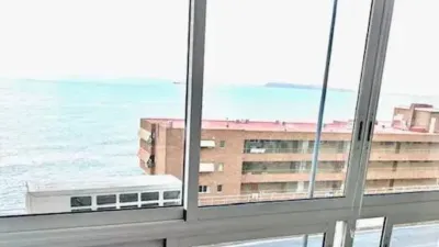 Apartment in L'Albufereta photo 20
