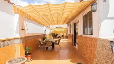 Pis – Elx - Elche - Vista 4