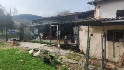 Rustic house in Abanto-Zierbena photo 6