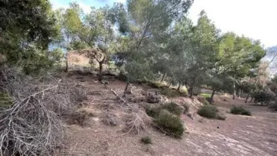 Rustic house in El Esparragal photo 22