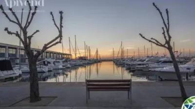 Apartment in Port Esportiu-Canyelles-Puig Rom photo 23