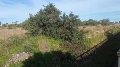 Terreno en venta en El Verger - Vista 3