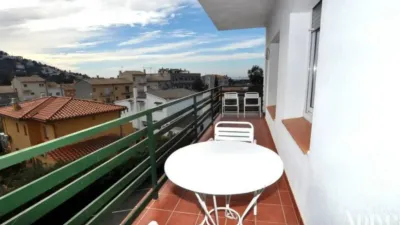 Apartment in Els Grecs-Mas Oliva photo 6