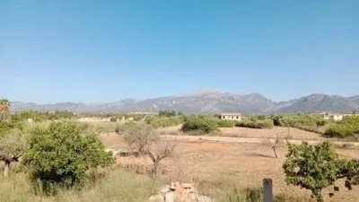 Rustic house in Búger photo 5