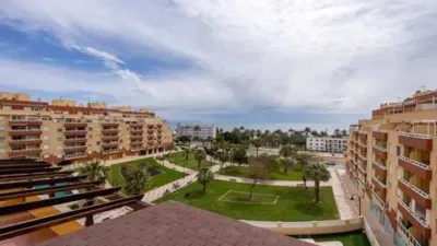 Apartment in Aguadulce Sur photo 2