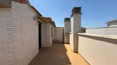 Apartment in Churra photo 3