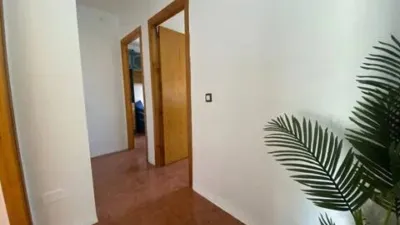 Chalet in Los Barrios photo 19