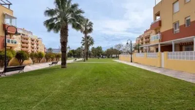 Apartment in Aguadulce Sur photo 45