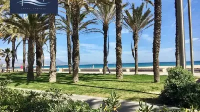 Piso – Alicante - Alacant - Vista 5