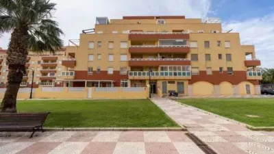 Apartment in Aguadulce Sur photo 46