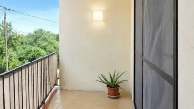 Apartment in Vilajuïga photo 3