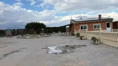 Casa – Elx - Elche - Más