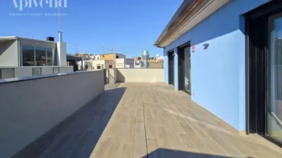 Penthouse in Els Grecs-Mas Oliva photo 13