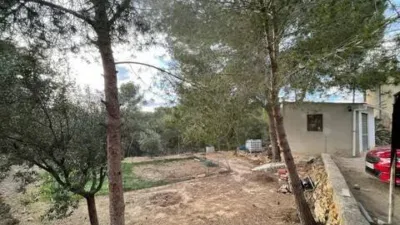 Rustic house in El Esparragal photo 17