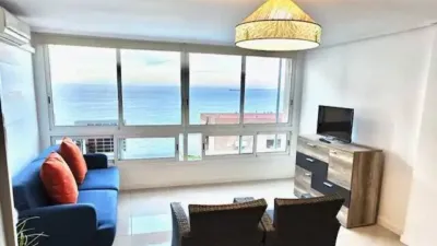 Apartment in L'Albufereta photo 25
