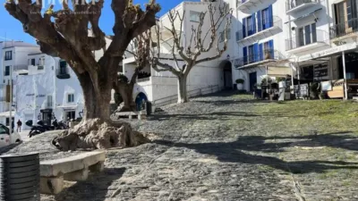Apartment in Cadaqués photo 30