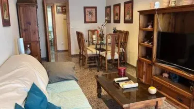 Pis – Elx - Elche - Vista 2