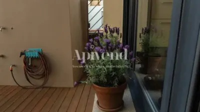 Chalet in Figueres photo 24
