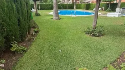 Pis – Benidorm - Vista 4