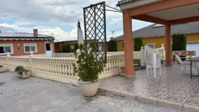 Casa – Elx - Elche - Vista 4