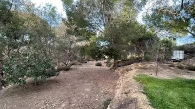 Rustic house in El Esparragal photo 23