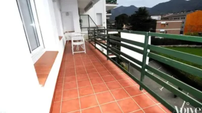 Apartment in Els Grecs-Mas Oliva photo 8