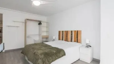 Apartment in Pont Nou photo 20