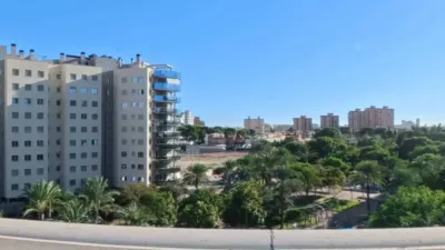 Apartment in El Campello photo 10