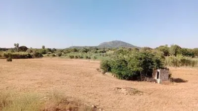 Rustic house in Búger photo 3