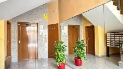 Apartment in Churra photo 5