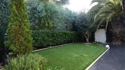 House in the Centre photo 3